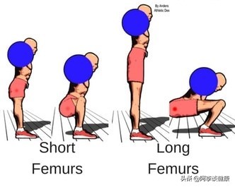 下蹲时膝盖要不要超出脚面,下蹲膝盖不能超过脚尖