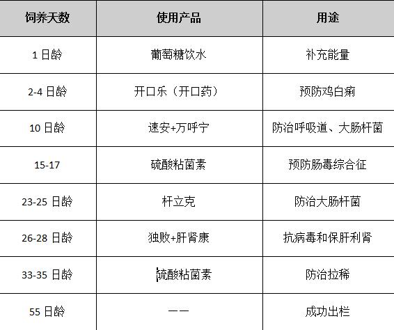 肉鸡各阶段预防关键点,肉鸡怎么控料后期降低鸡死亡率