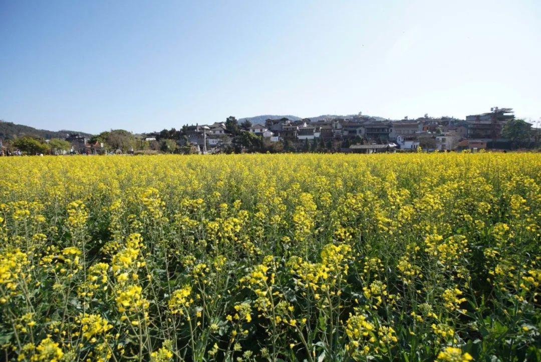 极边之城腾冲,来这里必做的八件事,否则白来了