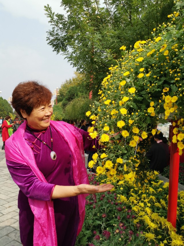 宋金林的书法欣赏,三姐妹书法