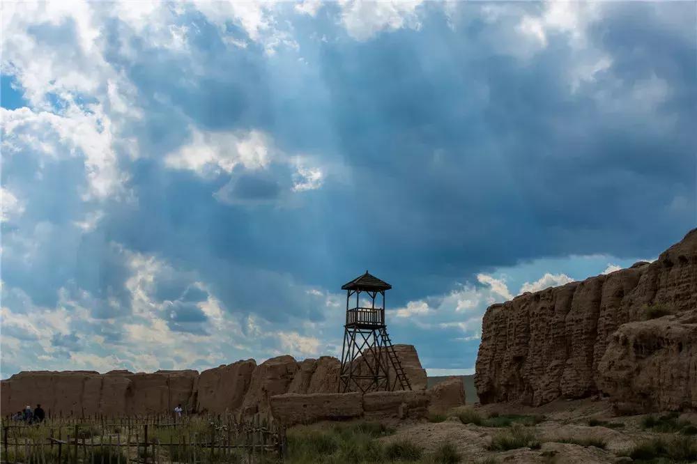 诗意天祝‖送你一把芨芨草