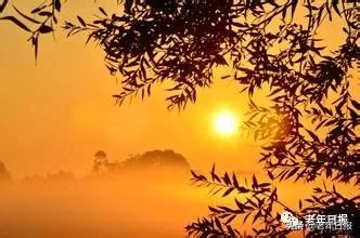 17篇情感微小说，短到极致，却催人泪下，看完泪眼模糊