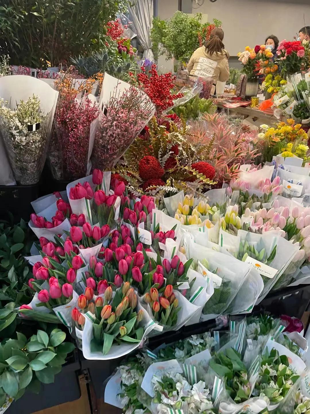 实拍青岛花卉市场！你每年都会选购哪些品种的年宵花呢？