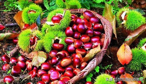 江苏常州市美食推荐,江苏常州美食节