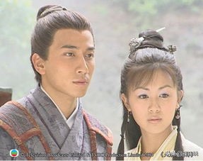 大唐双龙传宇文化及武功,大唐双龙传武功秘籍大全