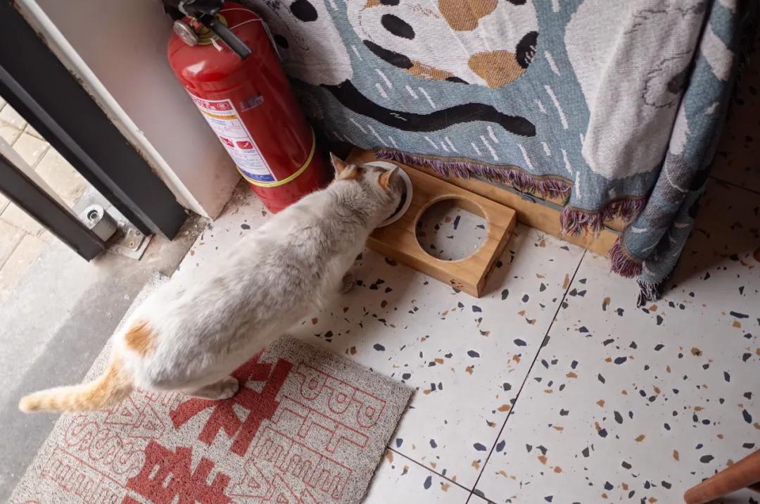 深秋济南好去处,济南春天近郊游的好去处排行榜