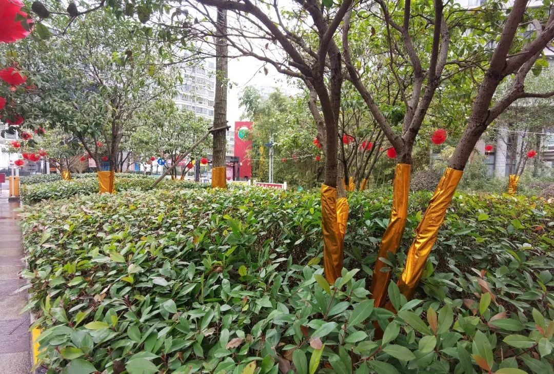 苦等十几年！951户业主表决通过！刚刚，无锡这里换物业成功了