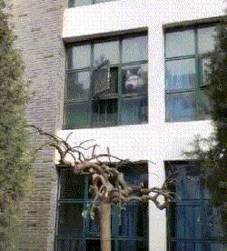 搞笑gif趣图妹子你的内心太强大了,搞笑gif越来越搞不懂现在的女生了