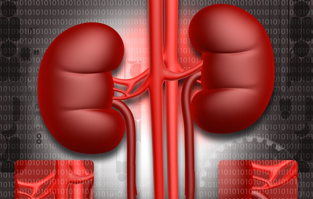 尿隐血有加号红细胞高怎么回事,尿隐血一定是肾出问题了吗