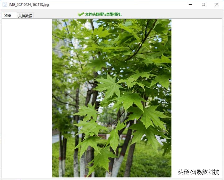 u盘格式化后又写入数据能恢复吗,u盘不小心格式化了怎么恢复数据