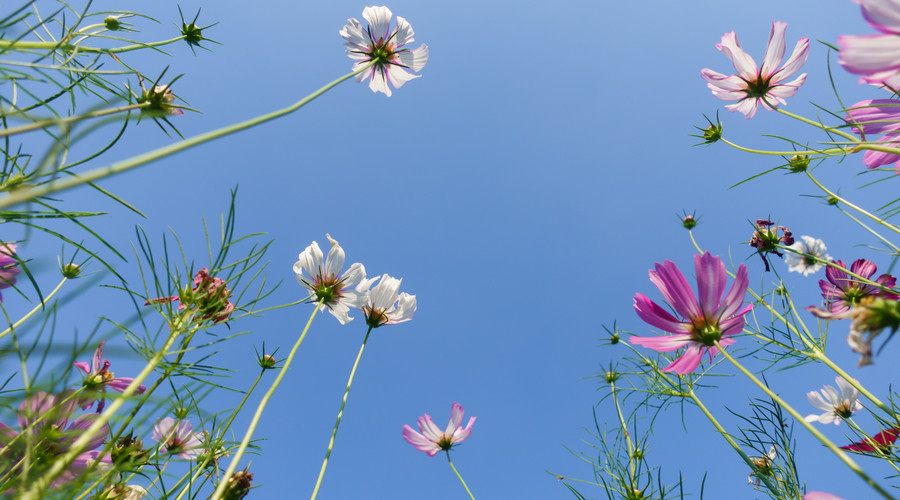 回避最好的挽留就是不挽留,不挽留是最好的结果是吗