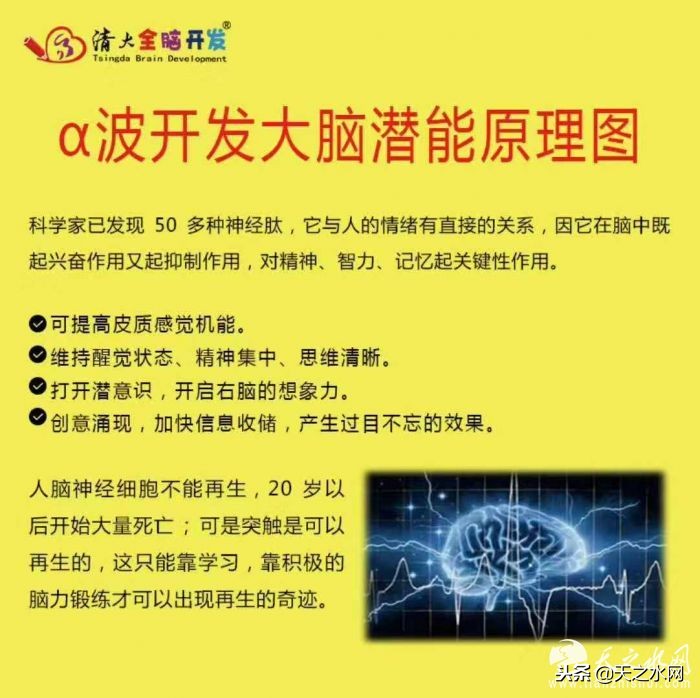 清大全脑开发直播课,清大全脑开发公益课堂