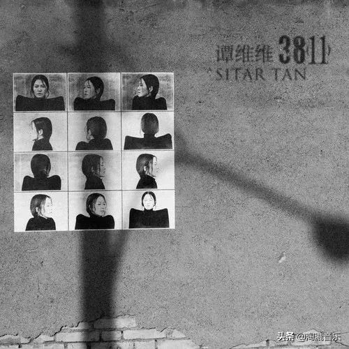 谭维维为什么不火,谭维维怎样了