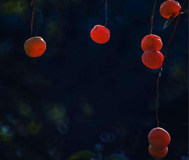 翻脸不认人的人最可怕,人生我们要学会翻脸不认人