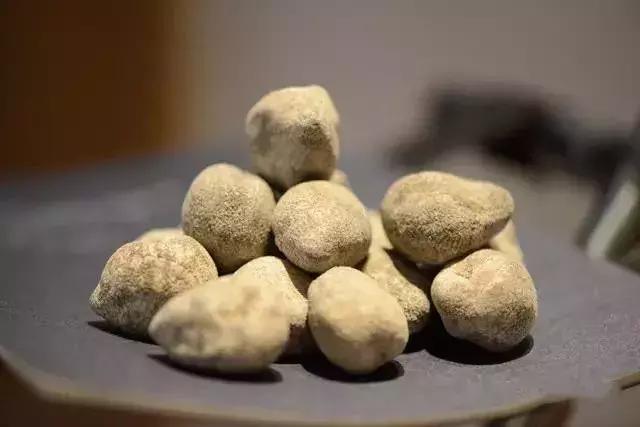 海参的高级介绍,海参营养丰富可你真的了解海参吗