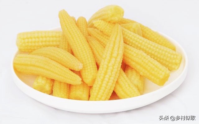 小玉米甜糯健康吗,小玉米啥时可种