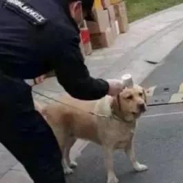 为什么测温枪测的温度特别准确,测温枪与测温仪哪个准确