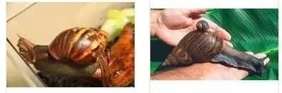 福建结核病,生活中哪些会传播结核病