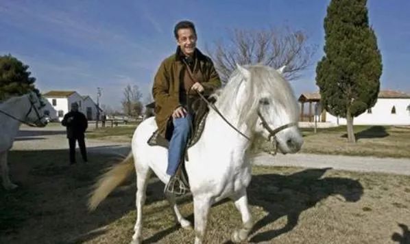 白马踏雪山金正恩座骑大有来头｜除了帅气人类为何钟情白马？