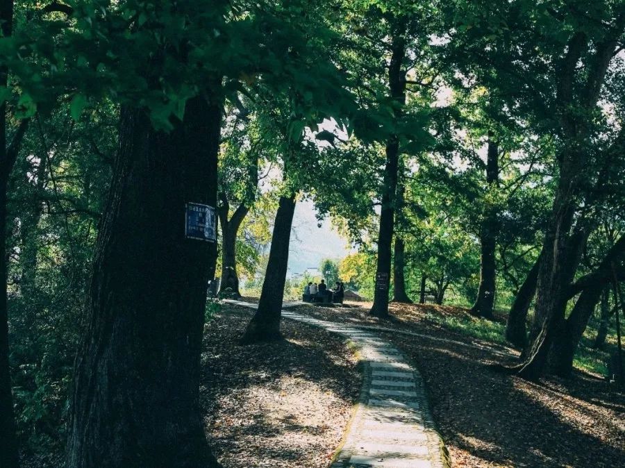 徽州赏秋三日游自驾游攻略,小众徽州赏秋村落
