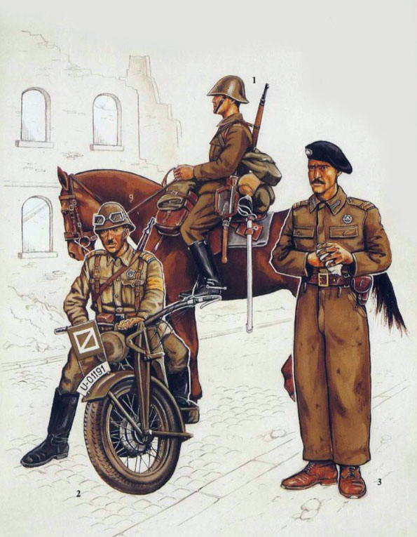 二战德军军服图鉴,二战罗马尼亚步兵师的装备