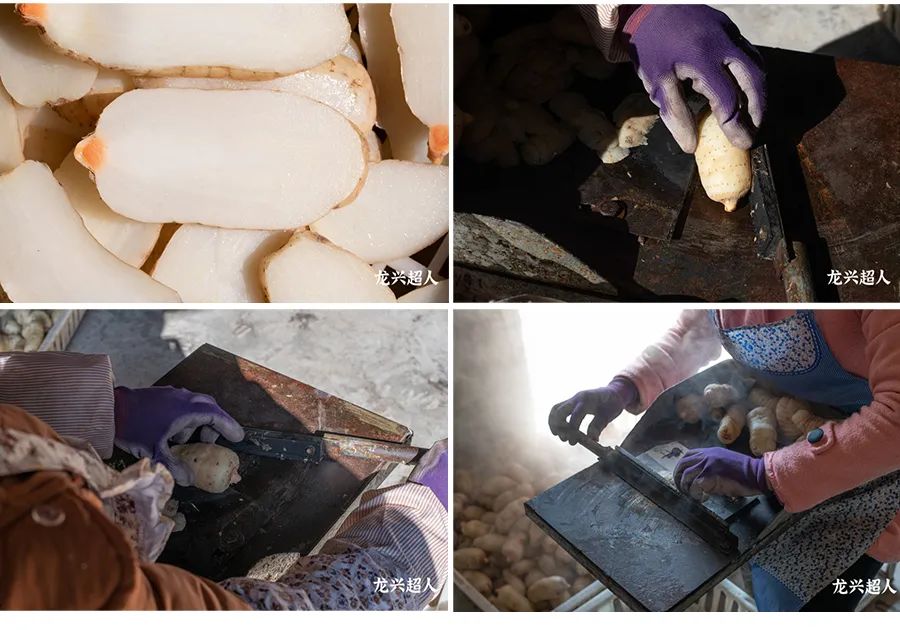 达州道地药材天麻,正宗中药材天麻