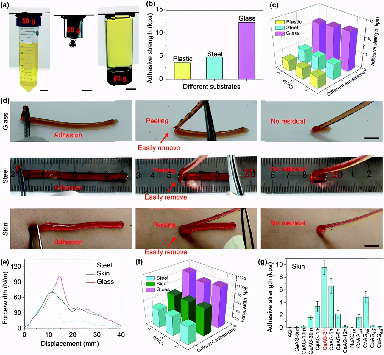 ca2+为什么能改变细胞壁的通透性,ca2+是钙离子吗