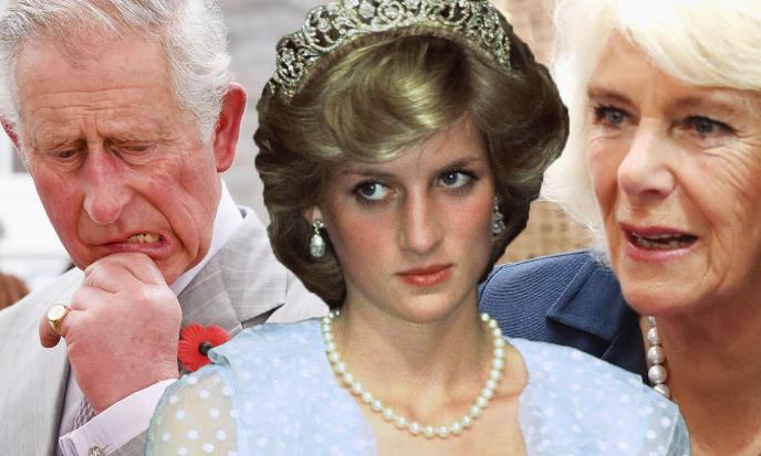 戴安娜王妃输给卡米拉,戴安娜王妃嫁给查尔斯王子
