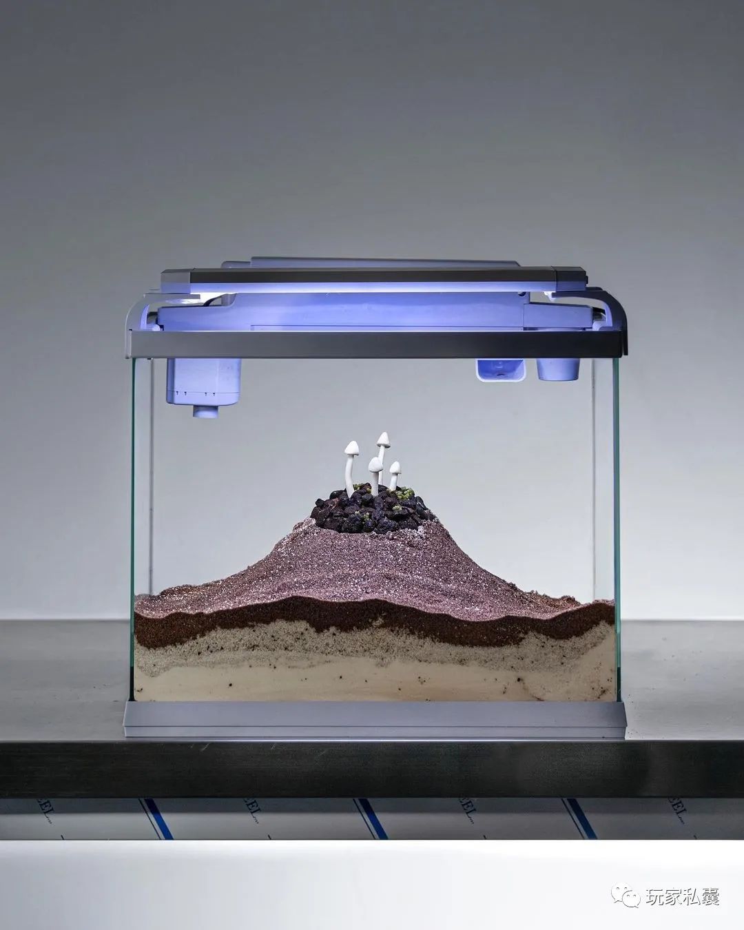 gentlemonster鐪奸暅鍝佺墝,gentlemonster鍝佺墝鐪奸暅鎺ㄨ崘