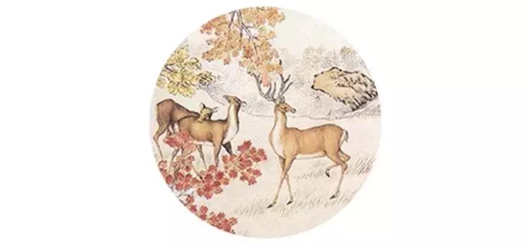 【美文共享】春天，人间皆可爱