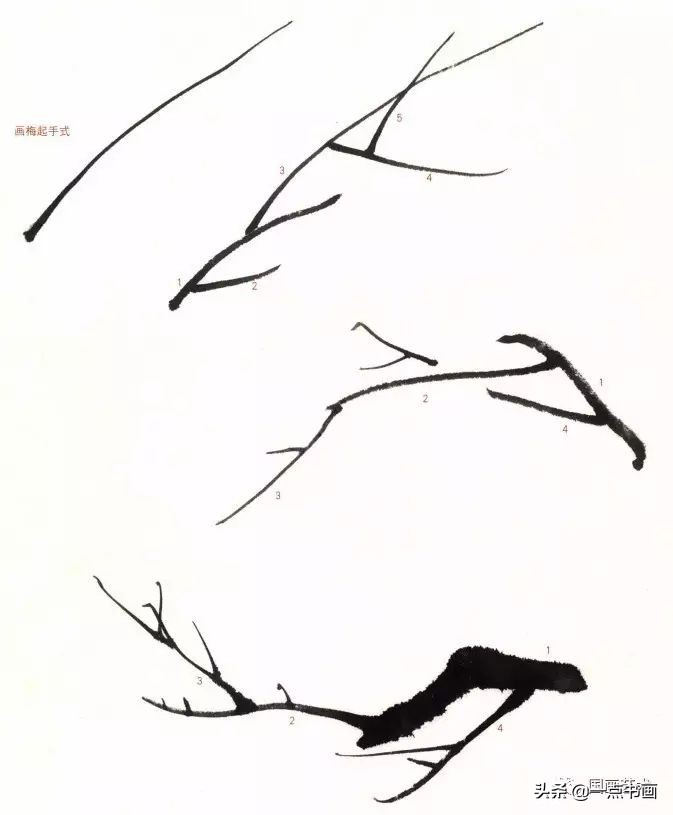 图文教程一学就会画梅花,一步一步教你画梅花