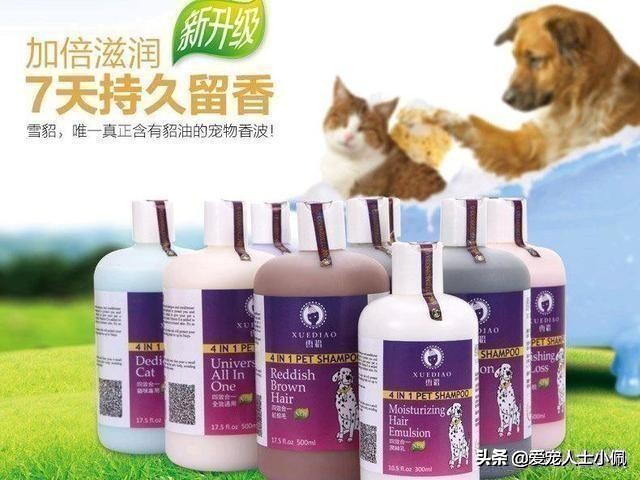 给比熊洗澡需要的东西,比熊犬能用硫磺皂洗澡吗