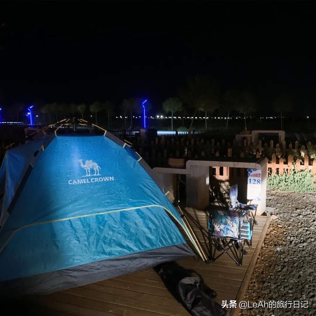 额济纳胡杨林中国最美秋色,中国最美秋色额济纳胡杨林