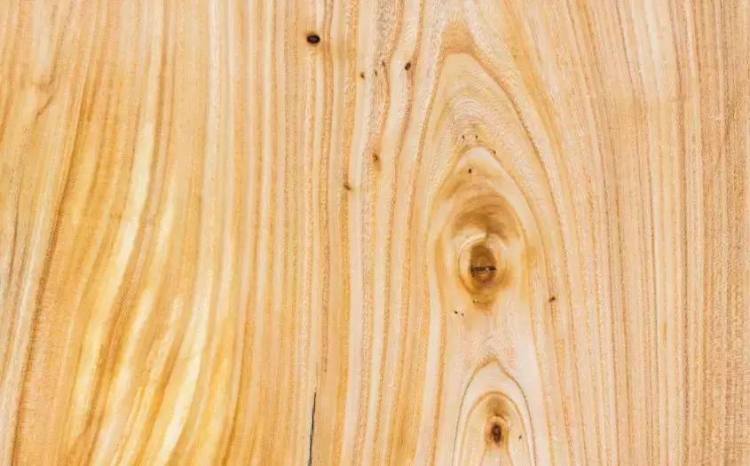 你知道什么叫木匠吗,你知道什么是榉木吗