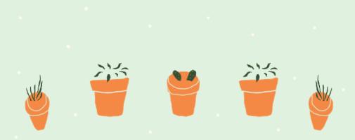 置爱｜植物1.0是种在盆儿里的，植物2.0都趴在墙上的