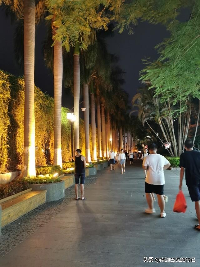 厦门鼓浪屿旅游攻略网红,厦门印象之鼓浪屿