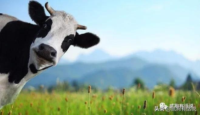 小时候我们都遇到过哪些谎言,小时候我们被骗的5个谎言