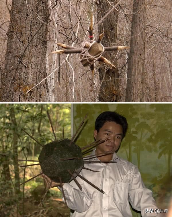 越军遍设竹尖陷阱,外加毒蛇,美军闻风丧胆,不敢收尸