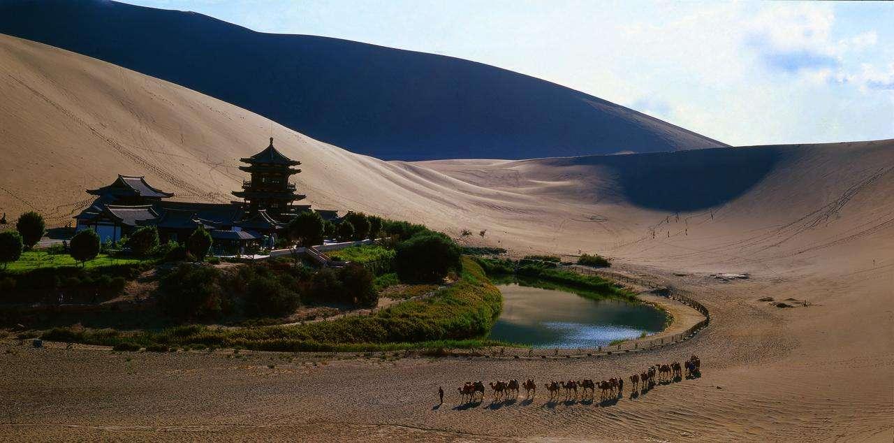 我滴个乖乖是河南话吗,甘肃珍稀动物