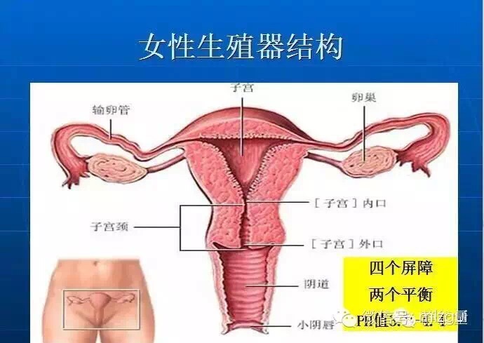 你知道女性宫腔四大垃圾是什么吗？