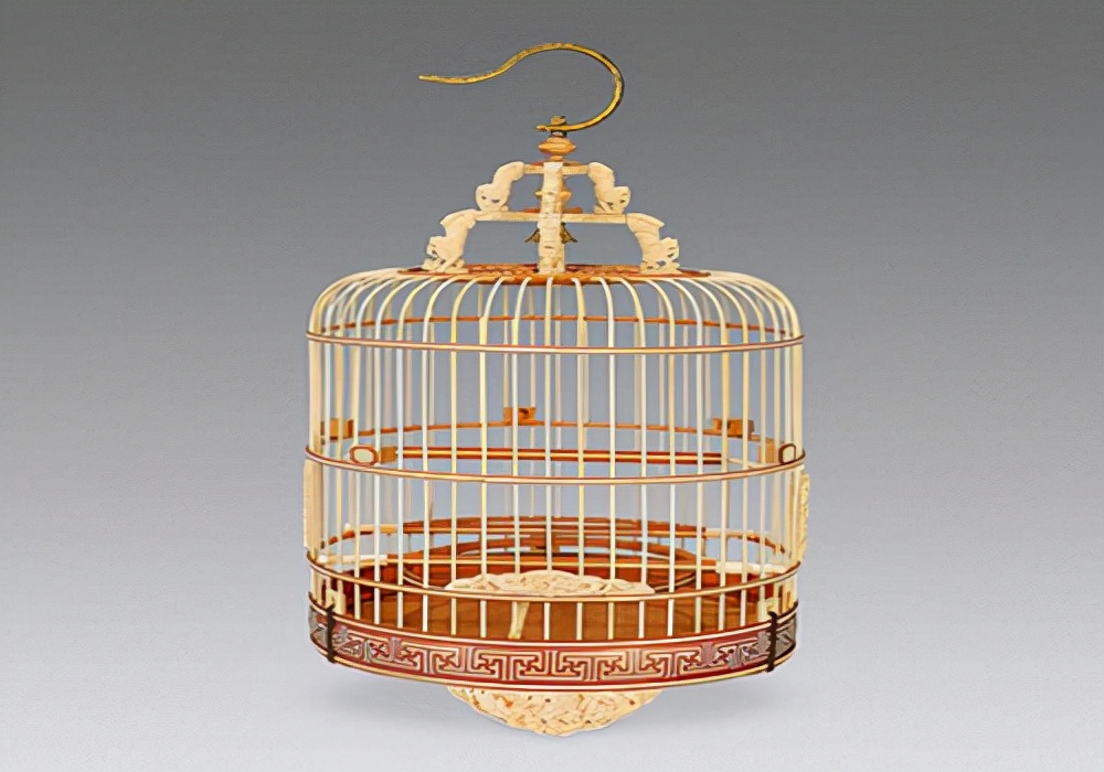 鹦鹉单眼伤风怎么导致的,鹦鹉单眼伤风怎么办