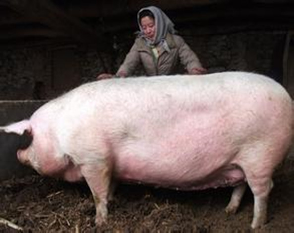 谈色色变的解释,谈癌色变恶性肿瘤已不再那么要命