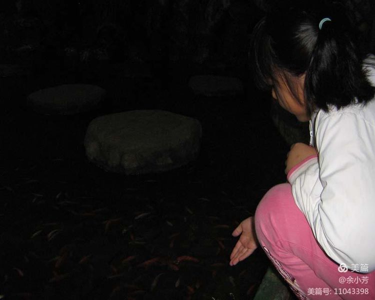 上海野生昆虫馆,上海昆虫馆门票多少