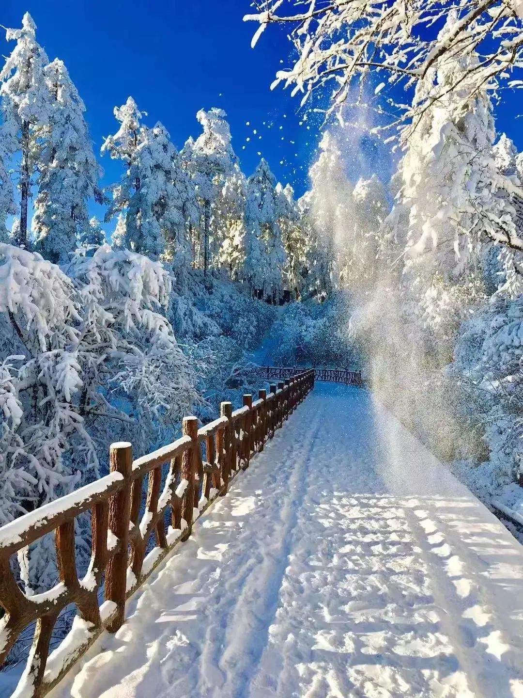 成都周边春节滑雪泡温泉,成都可以玩水也可以玩雪的地方