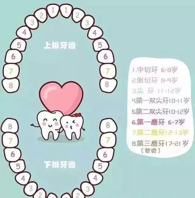 小孩少一颗牙最好的补救方法,孩子的牙有问题趁早看