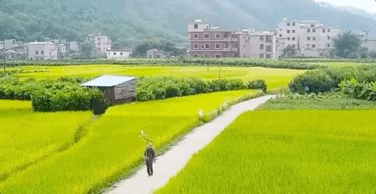 中国大爷造出2600年前鲁班凳,2600年前鲁班凳河南大叔潜心钻研