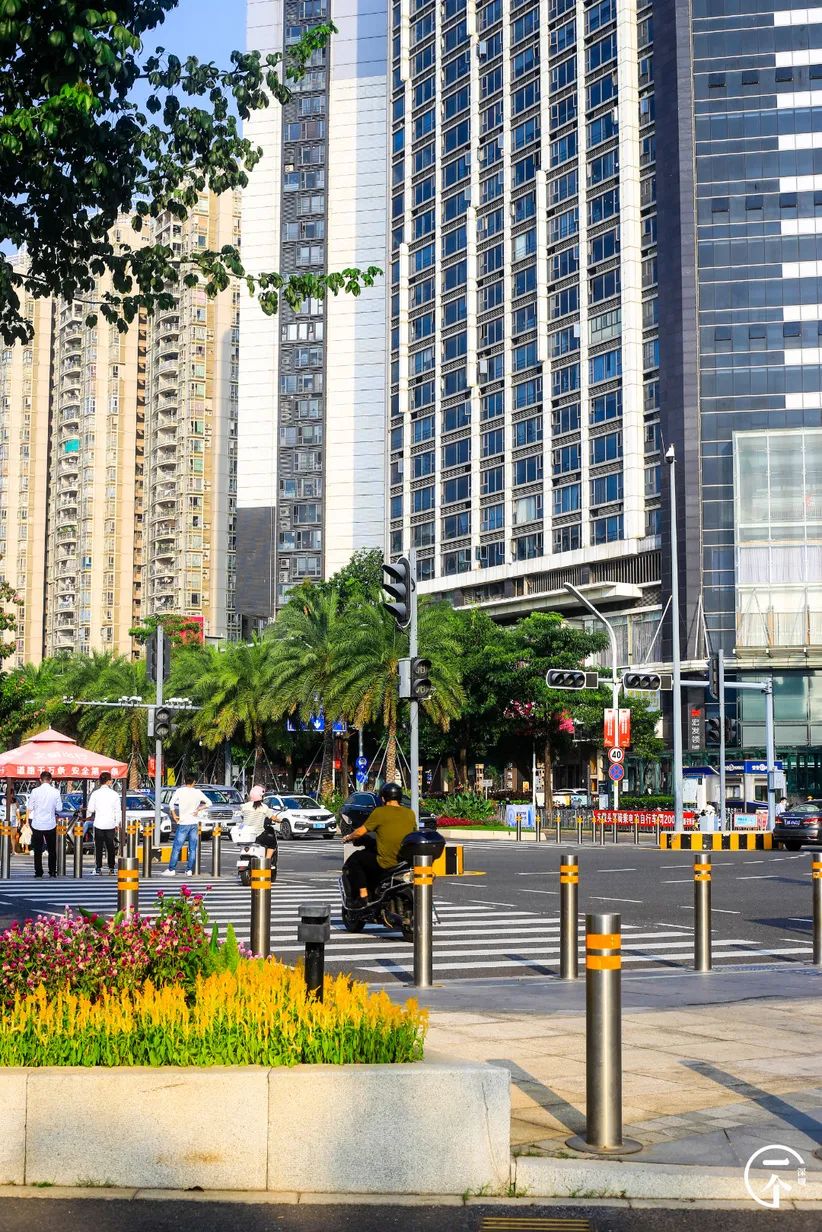 2000万在深圳能买到别墅吗,2000能在深圳租到怎样的房子