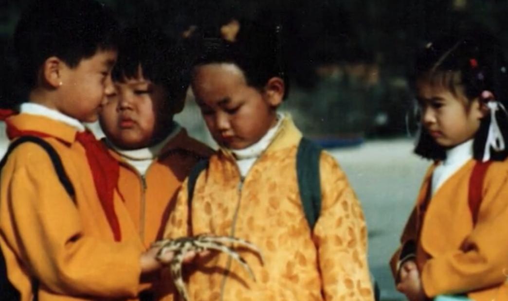 12位童星今昔对比,从知名童星沦落为阶下囚