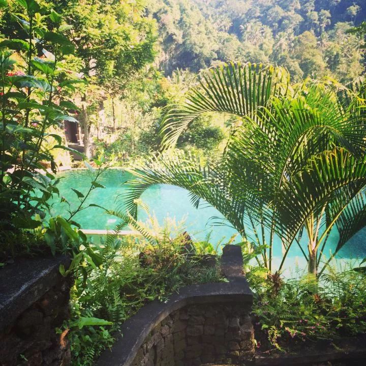 亲测巴厘岛|是时候聊聊它的正面目