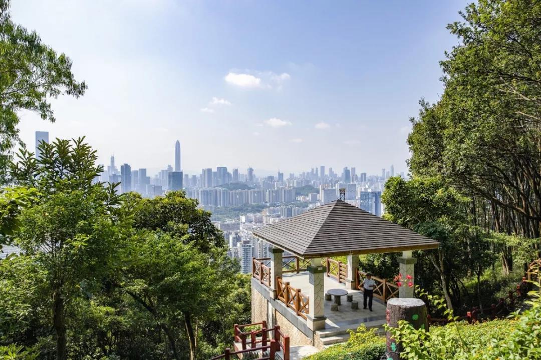 深圳遛娃50个必去的主题公园,深圳遛娃必去景点免费全部列表